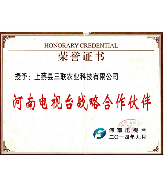 河南臺合作伙伴