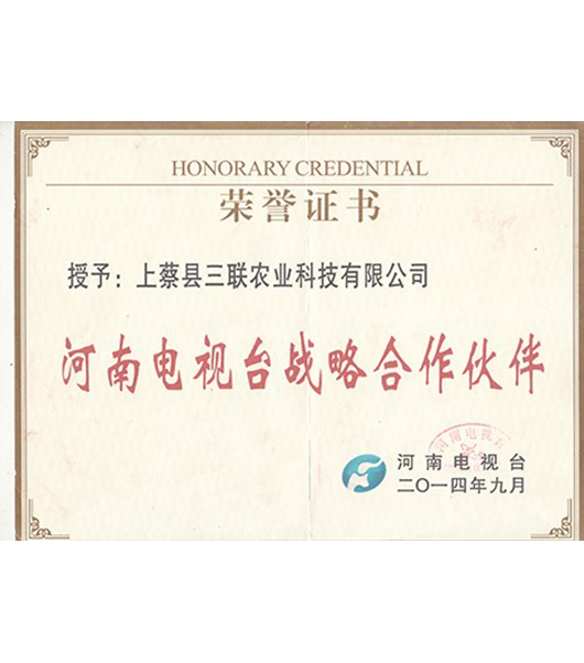 河南電視臺戰(zhàn)略合作伙伴